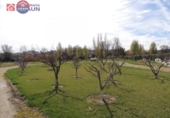 Non-developable land for sale on España, Peralta, ref: TR116469 photo