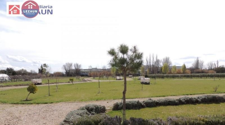 Navarra - Peralta - 15760m2