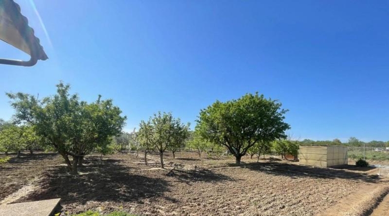Navarra - Corella - 1900m2