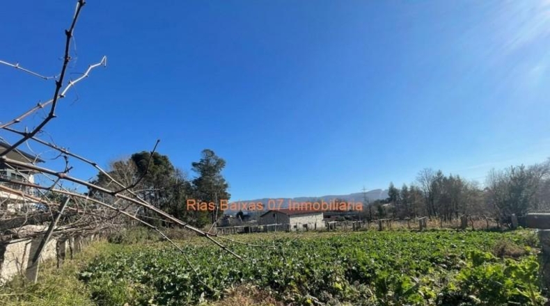 Pontevedra - Porriño - 1446m2