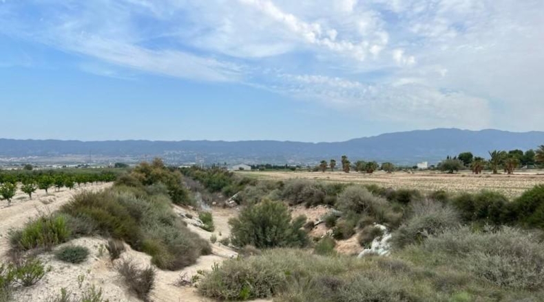 Murcia - Cartagena - 8824m2