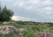 Terreno no urbanizable en venta en la España, Cartagena, ref: TR383054 foto
