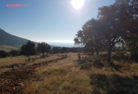 Santa Eufemia 50000&nbsp;m² 