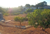Земля на продажу у города Tortosa Фото