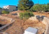 Земля на продажу у города Tortosa Фото