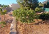 Земля на продажу у города Tortosa Фото