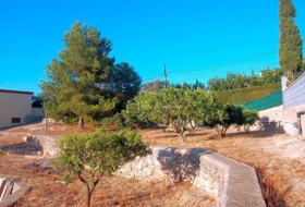 Foto 11