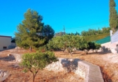 Земля на продажу у города Tortosa Фото