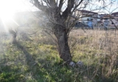 Land suitable for development for sale on España, Valderrobres, ref: TR121162 photo
