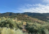 Chalet independiente con terreno en venta en la España, Saleres, ref: TR296557 foto