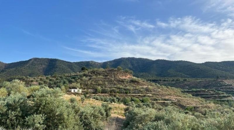 Granada - Píñar - 20000m2