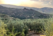 Chalet independiente con terreno en venta en la España, Saleres, ref: TR296557 foto
