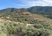 Chalet independiente con terreno en venta en la España, Saleres, ref: TR296557 foto