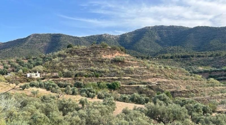 Granada - Píñar - 20000m2