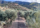 Chalet independiente con terreno en venta en la España, Saleres, ref: TR296557 foto