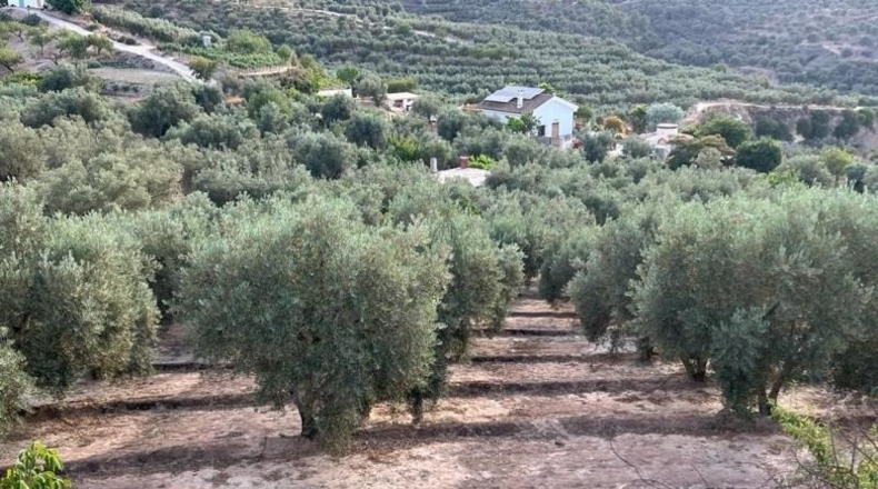 Granada - Píñar - 20000m2