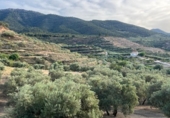Chalet independiente con terreno en venta en la España, Saleres, ref: TR296557 foto