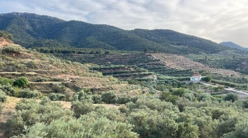 Granada - Píñar - 20000m2