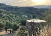 Chalet independiente con terreno en venta en la España, Saleres, ref: TR296557 foto
