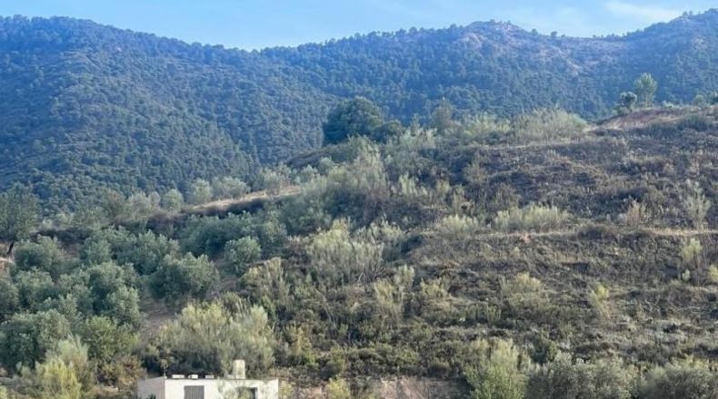 Granada - Píñar - 20000m2