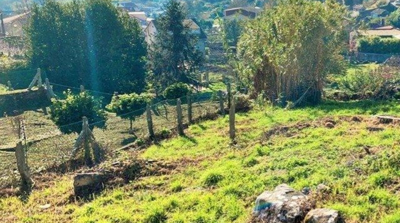 Pontevedra - Pontevedra - 627m2