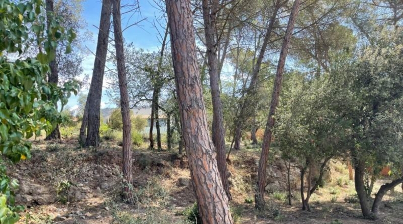 Barcelona - la Torre de Claramunt - 524m2