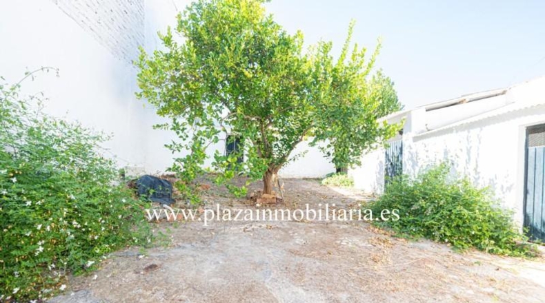 Córdoba - Lucena - 272m2