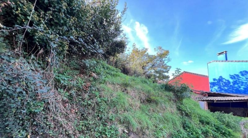 Asturias - Cangas de Onís - 300m2
