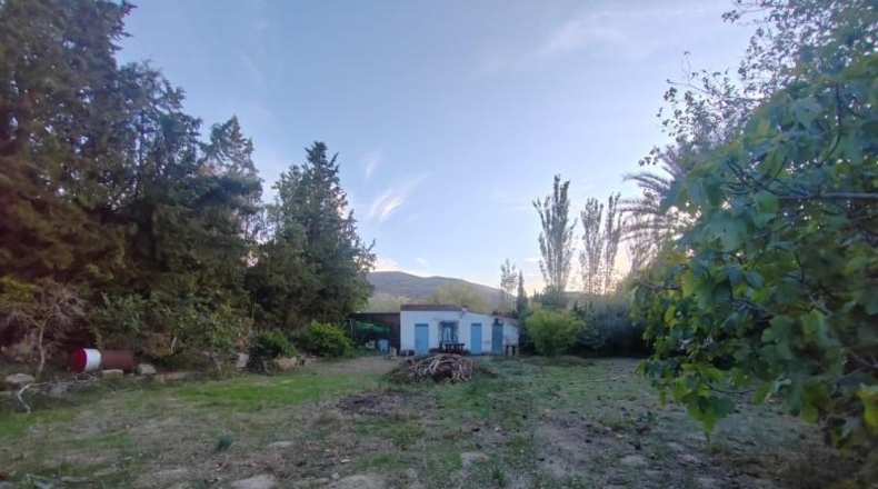 Jaén - La Guardia de Jaén - 607m2