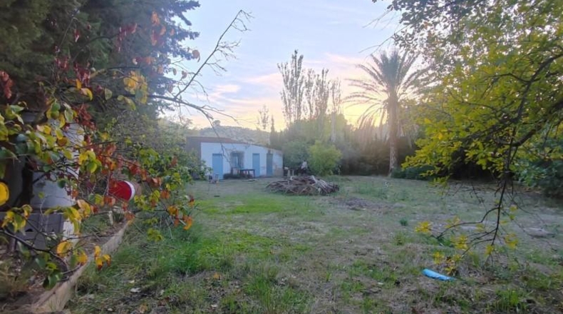 Jaén - La Guardia de Jaén - 607m2