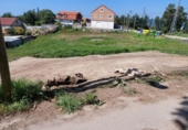 Urban land for sale on España, Vigo, ref: TR361909 photo