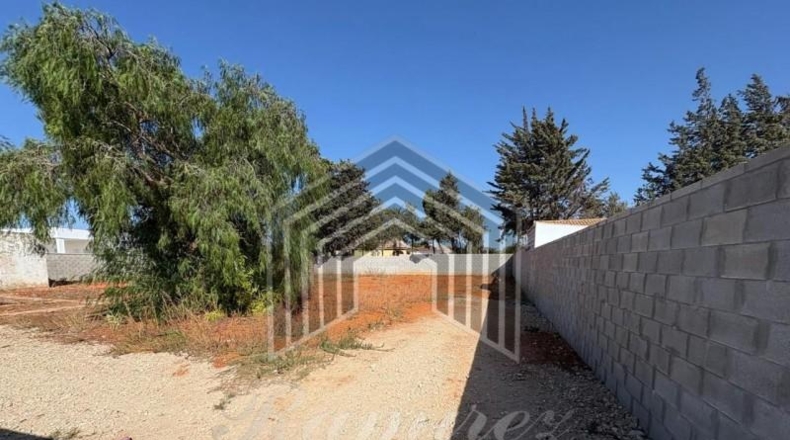 Cádiz - Chiclana de la Frontera - 500m2