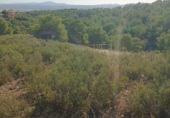 Parcel·la urbanitzable en venda a la España, Totana, ref.: TR366733 foto