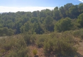 Parcel·la urbanitzable en venda a la España, Totana, ref.: TR366733 foto