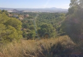 Parcel·la urbanitzable en venda a la España, Totana, ref.: TR366733 foto
