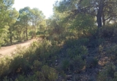 Parcel·la urbanitzable en venda a la España, Totana, ref.: TR366733 foto