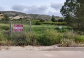 Parcel·la urbanitzable en venda a la España, Beniel, ref.: TR280359 foto