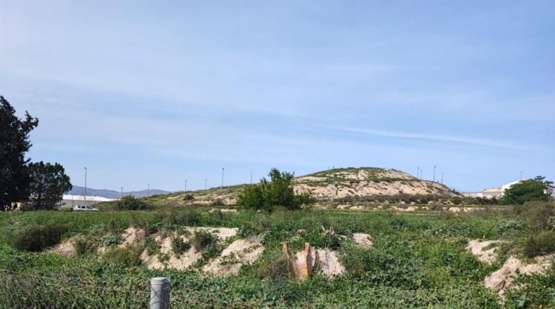 Murcia - Beniel - 6425m2