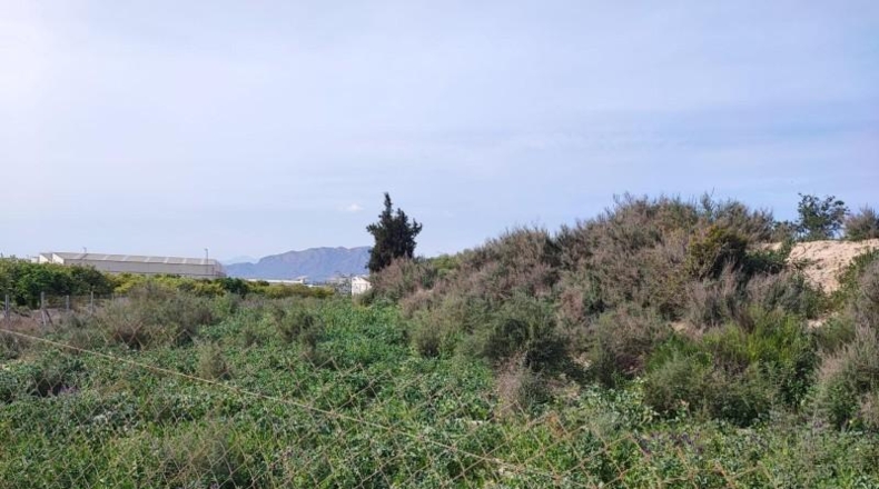 Murcia - Beniel - 6425m2