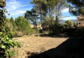 Parcel·la urbanitzable en venda a la España, Carme, ref.: TR255056 foto