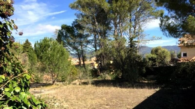Barcelona - Carme - 1169m2