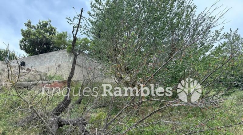 Barcelona - Castellolí - 566m2