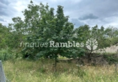 Land suitable for development for sale on España, Castellolí, ref: TR271501 photo