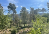 Sòl urbà en venda a la España, la Torre de Claramunt, ref.: TR271500 foto