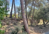 Sòl urbà en venda a la España, la Torre de Claramunt, ref.: TR271498 foto