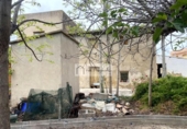 Chalet independiente con terreno en venta en la España, Deltebre, ref: TR270374 foto