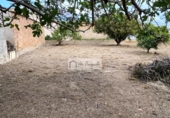 Chalet independiente con terreno en venta en la España, Deltebre, ref: TR270374 foto
