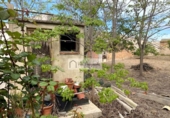 Chalet independiente con terreno en venta en la España, Deltebre, ref: TR270374 foto