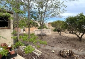 Chalet independiente con terreno en venta en la España, Deltebre, ref: TR270374 foto