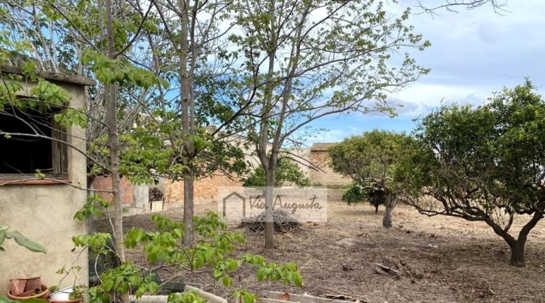 Tarragona - Deltebre - 700m2